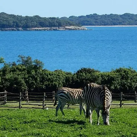 Astraluxe Appartement