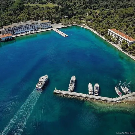 Apartment Astraluxe Fazana